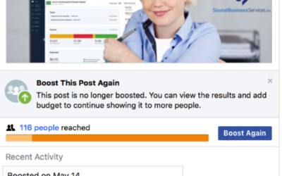 Facebook Boosted Posts: Empowering Your Business Through Social Media