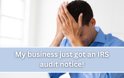 Oh no! My business just got an audit notice from the IRS!